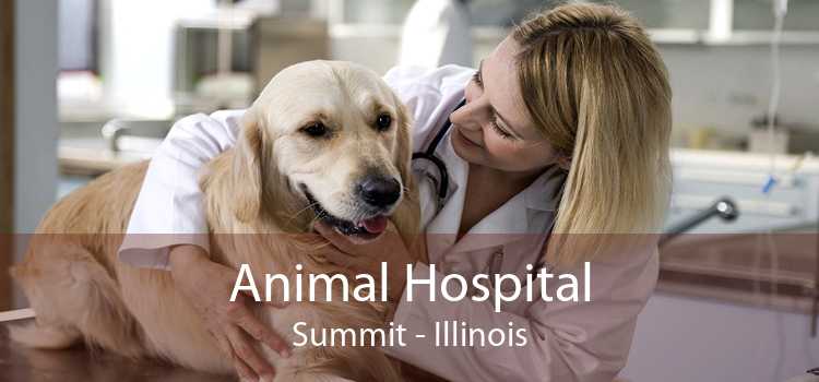 Animal Hospital Summit - Illinois
