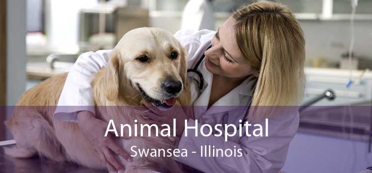 Animal Hospital Swansea - Illinois