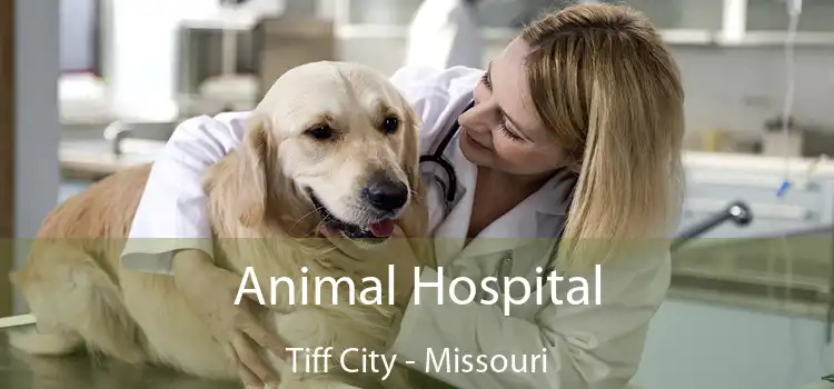 Animal Hospital Tiff City - Missouri