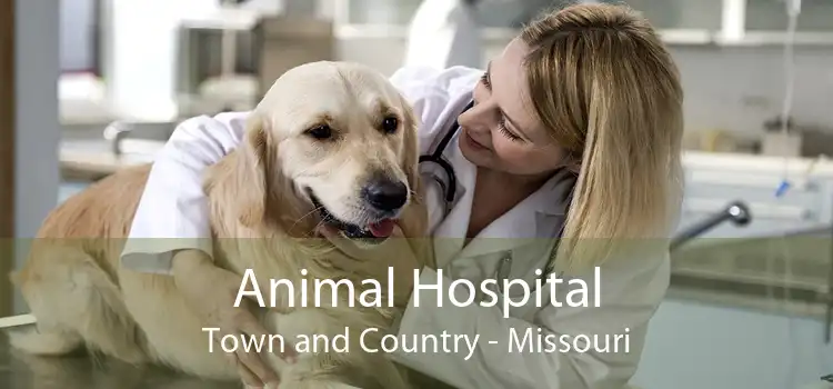 Animal Hospital Town and Country - Missouri
