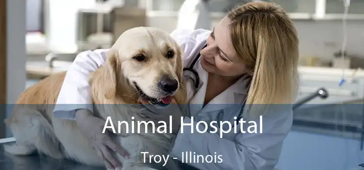 Animal Hospital Troy - Illinois