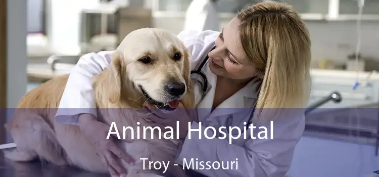 Animal Hospital Troy - Missouri