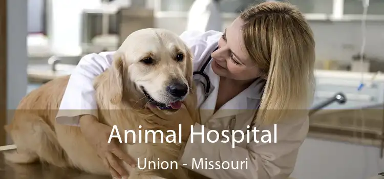 Animal Hospital Union - Missouri