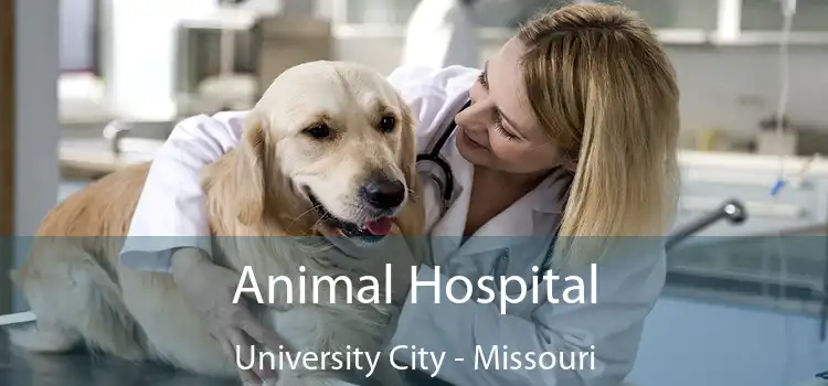 Animal Hospital University City - Missouri