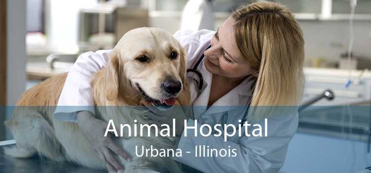 Animal Hospital Urbana - Illinois