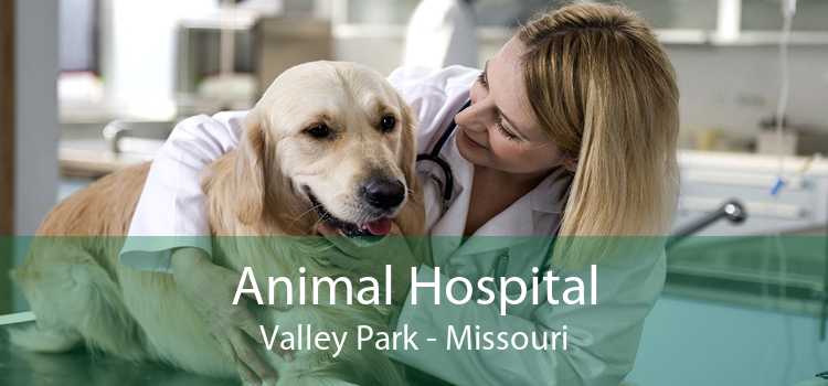 Animal Hospital Valley Park - Missouri
