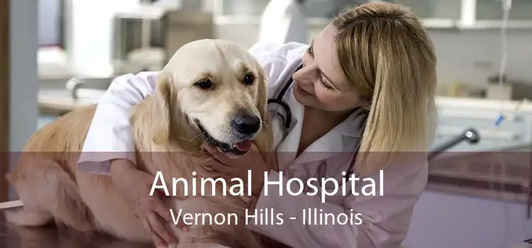 Animal Hospital Vernon Hills - Illinois