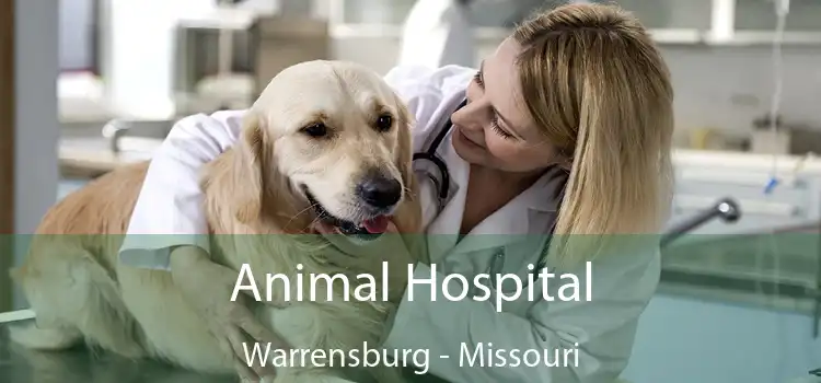 Animal Hospital Warrensburg - Missouri