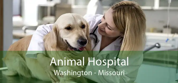 Animal Hospital Washington - Missouri