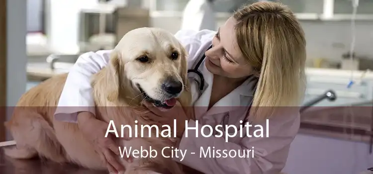 Animal Hospital Webb City - Missouri