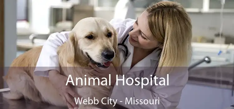 Animal Hospital Webb City - Missouri