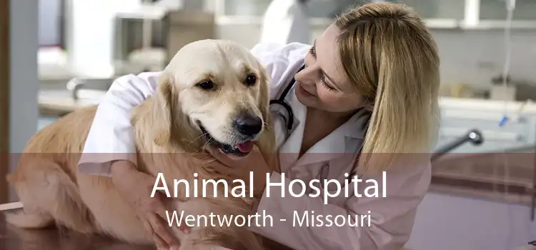Animal Hospital Wentworth - Missouri