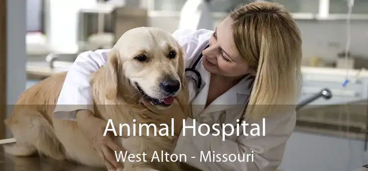 Animal Hospital West Alton - Missouri