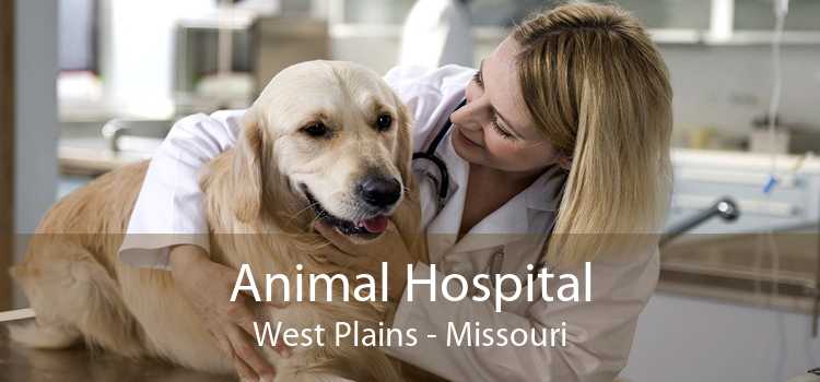Animal Hospital West Plains - Missouri