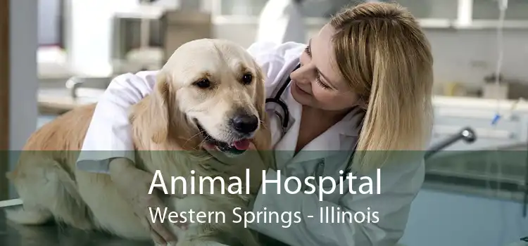 Animal Hospital Western Springs - Illinois