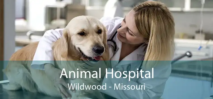Animal Hospital Wildwood - Missouri