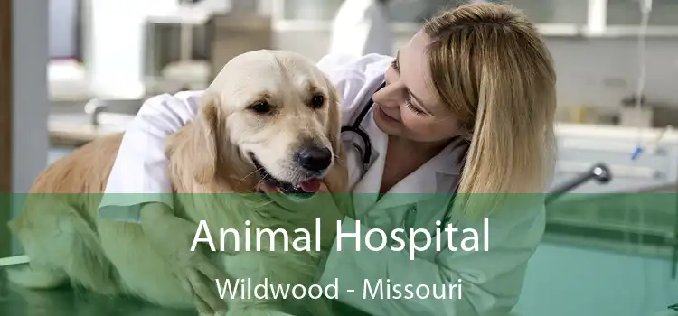 Animal Hospital Wildwood - Missouri