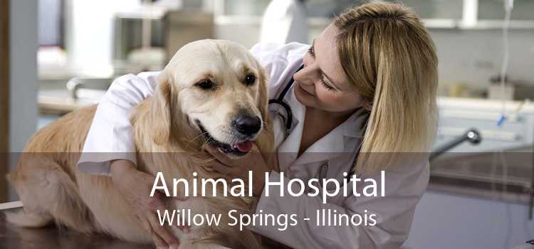 Animal Hospital Willow Springs - Illinois