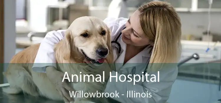 Animal Hospital Willowbrook - Illinois