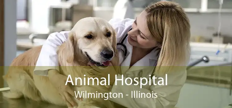 Animal Hospital Wilmington - Illinois