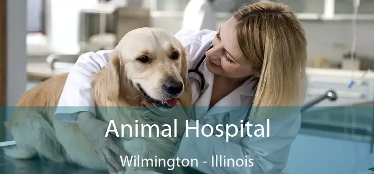 Animal Hospital Wilmington - Illinois