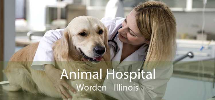 Animal Hospital Worden - Illinois