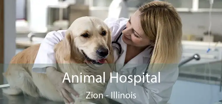 Animal Hospital Zion - Illinois