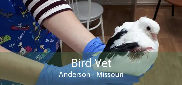 Bird Vet Anderson - Missouri