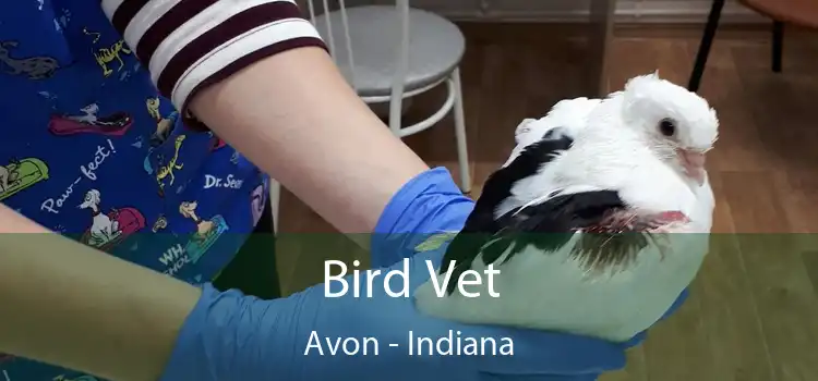 Bird Vet Avon - Indiana