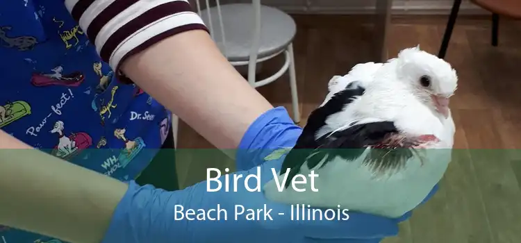 Bird Vet Beach Park - Illinois