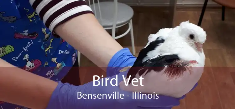 Bird Vet Bensenville - Illinois