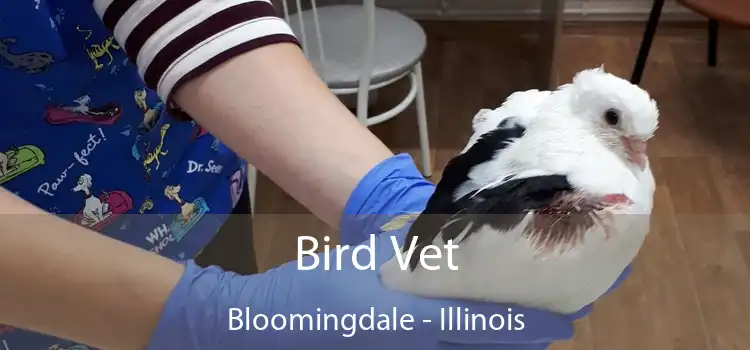 Bird Vet Bloomingdale - Illinois