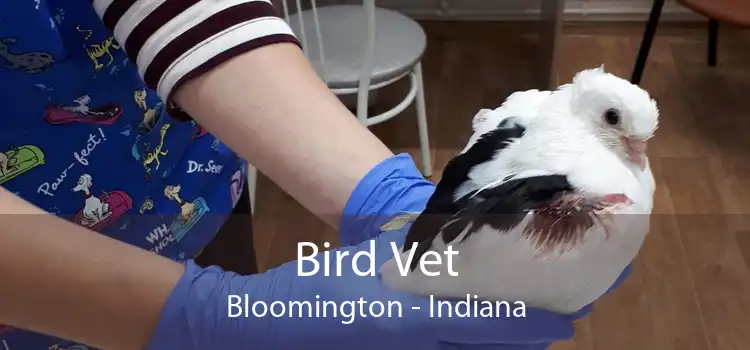 Bird Vet Bloomington - Indiana