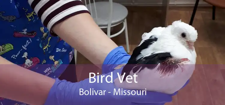 Bird Vet Bolivar - Missouri