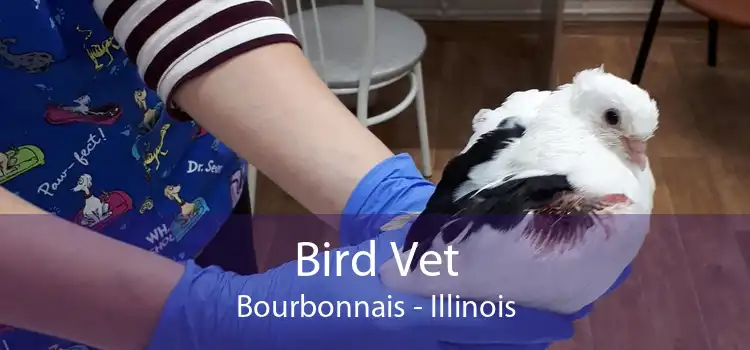 Bird Vet Bourbonnais - Illinois