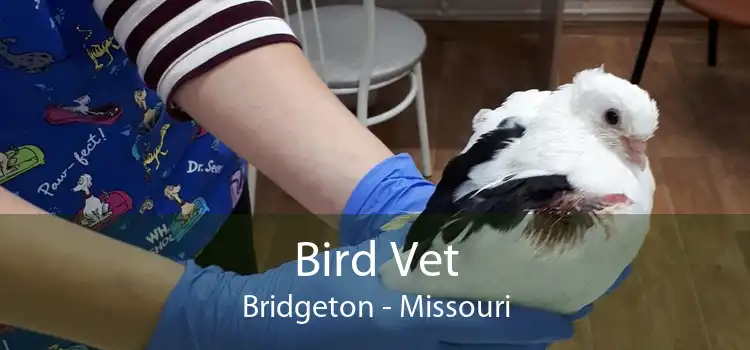 Bird Vet Bridgeton - Missouri