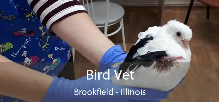 Bird Vet Brookfield - Illinois