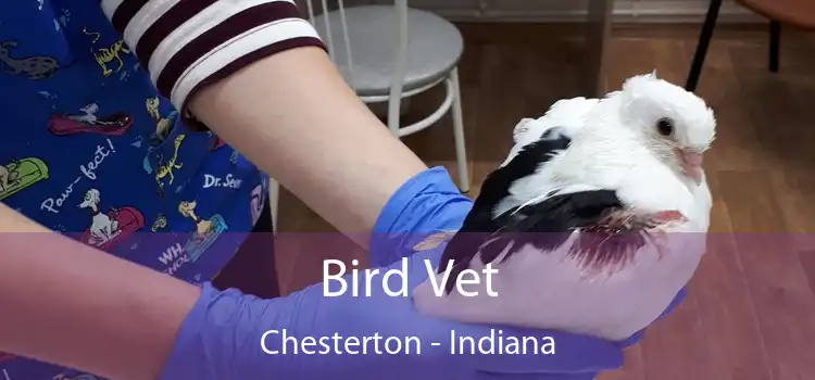 Bird Vet Chesterton - Indiana