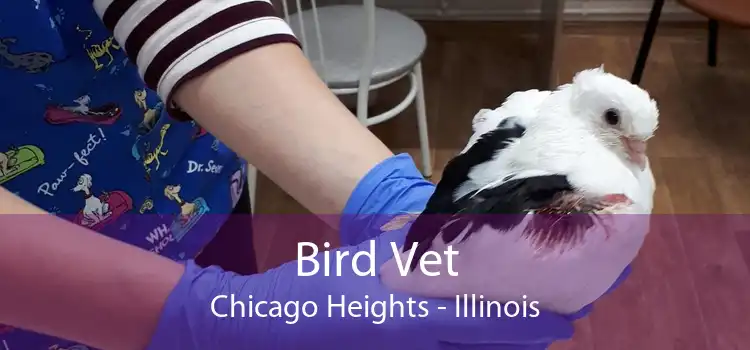 Bird Vet Chicago Heights - Illinois