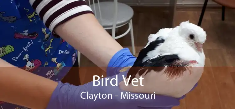 Bird Vet Clayton - Missouri