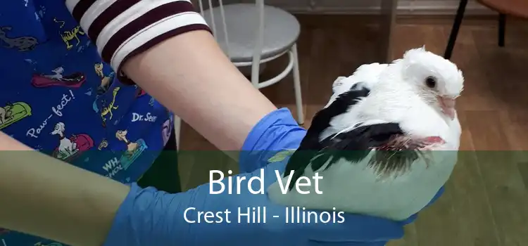 Bird Vet Crest Hill - Illinois