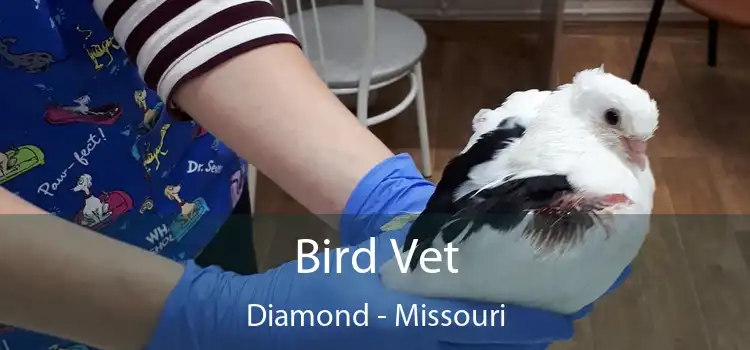 Bird Vet Diamond - Missouri