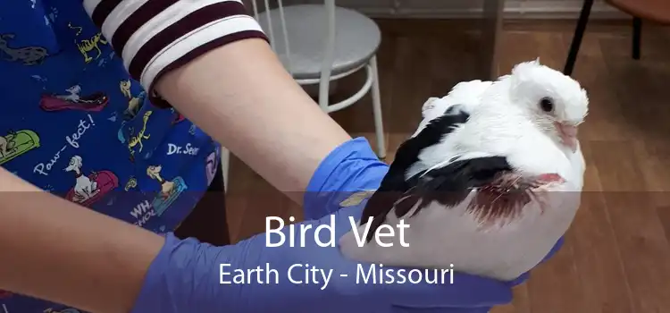 Bird Vet Earth City - Missouri
