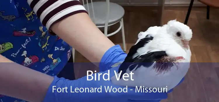 Bird Vet Fort Leonard Wood - Missouri