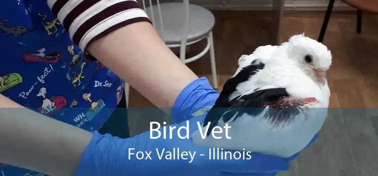 Bird Vet Fox Valley - Illinois