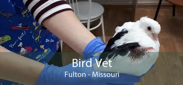 Bird Vet Fulton - Missouri