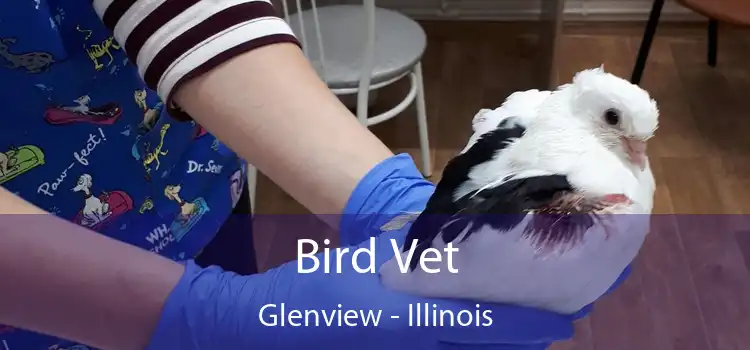 Bird Vet Glenview - Illinois