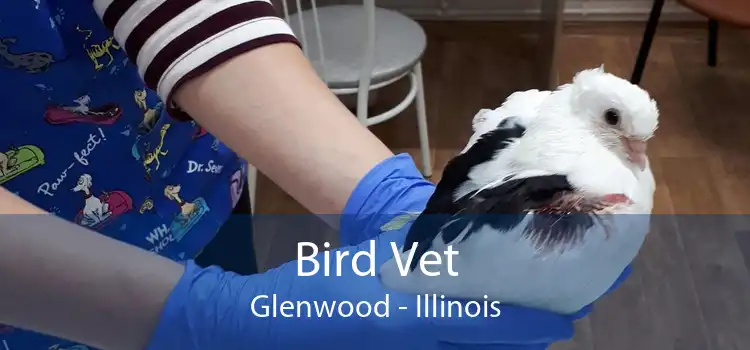 Bird Vet Glenwood - Illinois