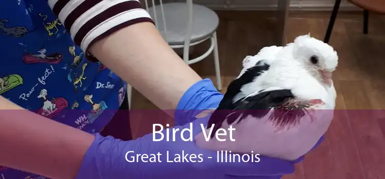 Bird Vet Great Lakes - Illinois