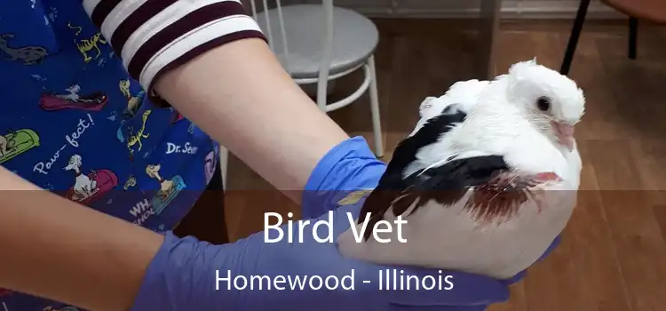 Bird Vet Homewood - Illinois